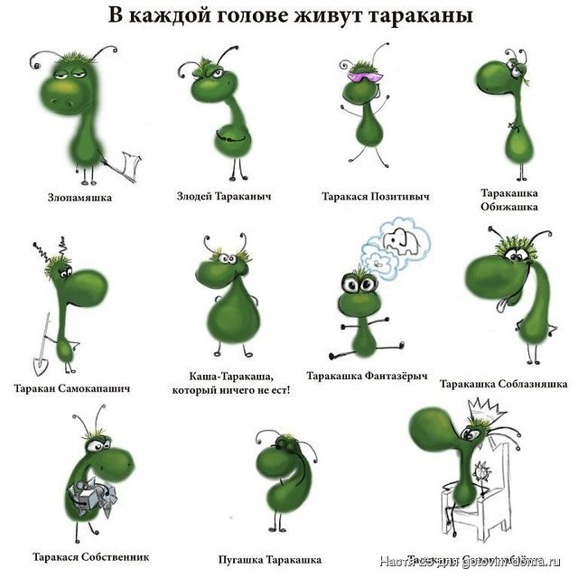 таракашка.jpeg