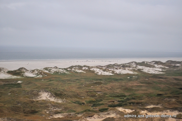 DSC_0041.jpg