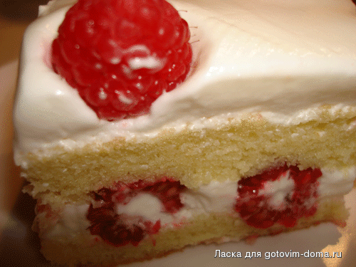 Picture-1609.gif