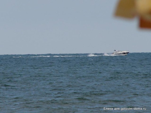 DSC00307.JPG