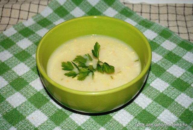 болгарский суп.jpg