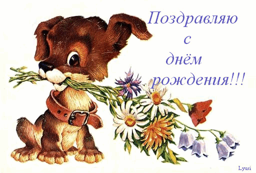 арш.gif