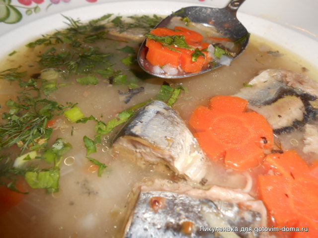 DSCN4512.JPG