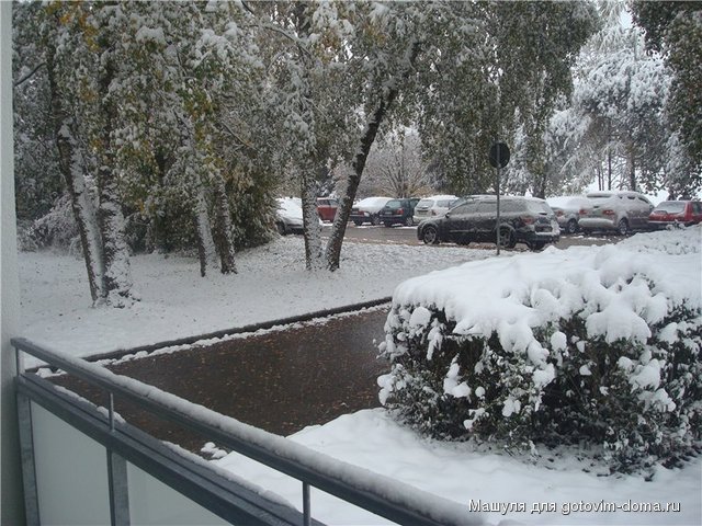 Bild 003.jpg