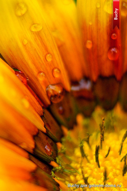 untitled_11.07.13_099.jpg