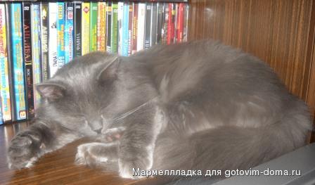 DSCN0154.jpg