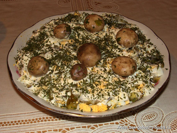 18 грибная поляна.jpg