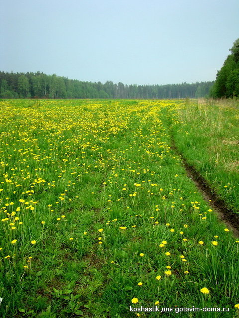 DSC04780.jpg