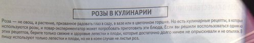 245.jpg