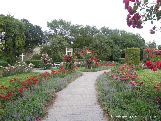 DSCN2522.JPG