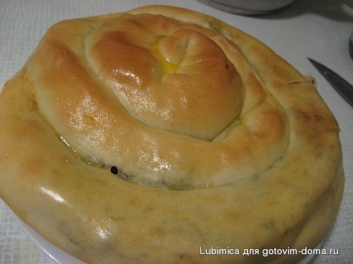 улитка с печенкой.jpg