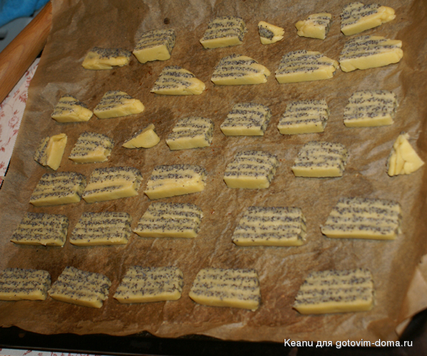 DSC09850.jpg