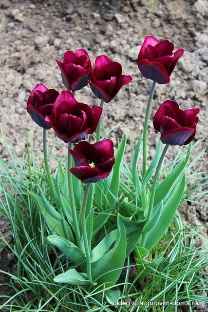 2013_05_05_0425.jpg