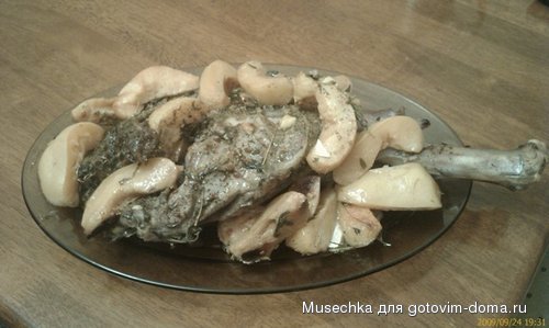 IMAG0017.jpg