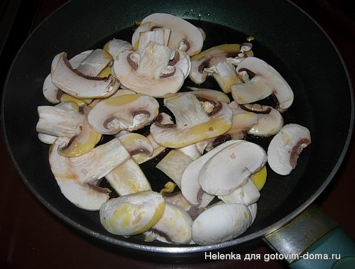 DSCN2146.JPG