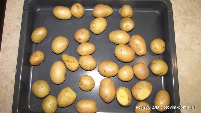4.JPG