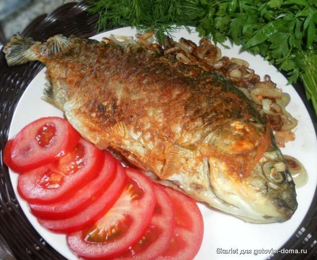 караси.jpg