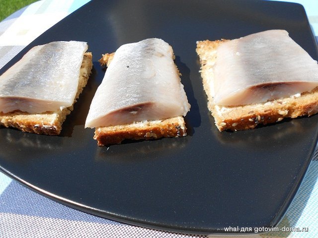 DSCN5370.JPG
