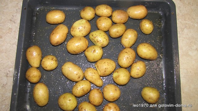 6.JPG