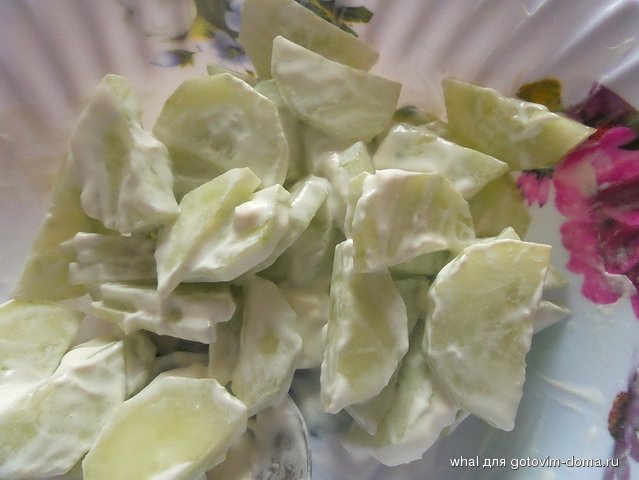 20160806_120622.jpg