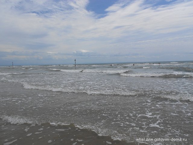DSCN1648.JPG