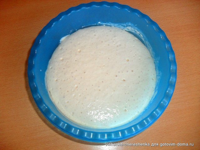SDC17148.JPG