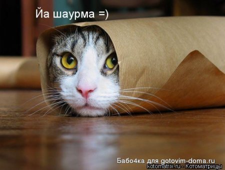1236139591_saurma.jpg