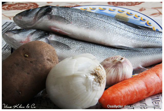 fish-soup_IMG_00003.jpg