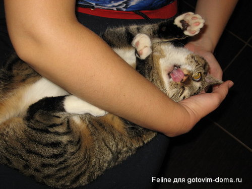 111 005_resize.jpg