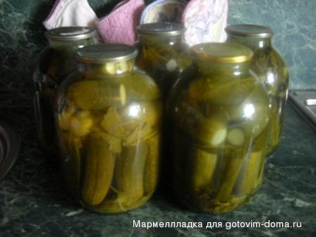 огурцы закрываю не как все. Смотреть фото огурцы закрываю не как все. Смотреть картинку огурцы закрываю не как все. Картинка про огурцы закрываю не как все. Фото огурцы закрываю не как все