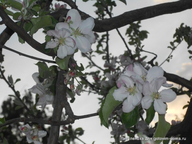 DSCN1814.JPG