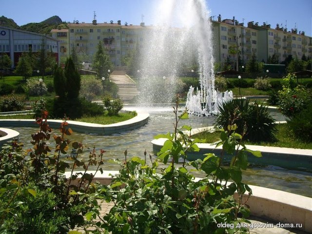 61259482.jpg
