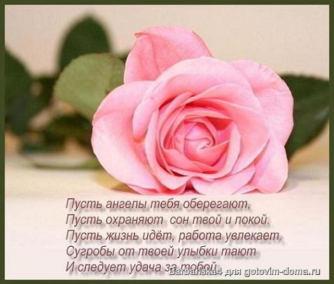 14134016.jpg
