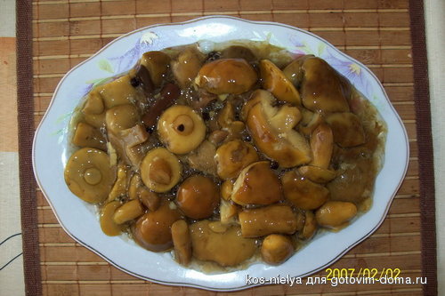 100_2391.jpg cc.jpg