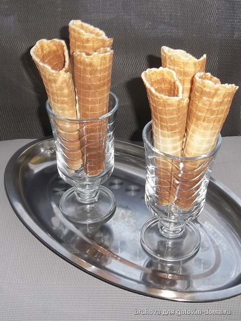 100_3960.JPG