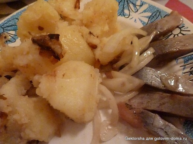 P1000631.JPG