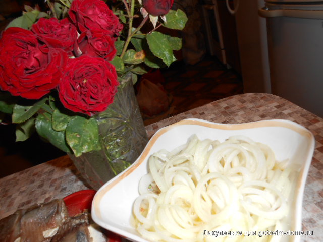 DSCN7710.JPG
