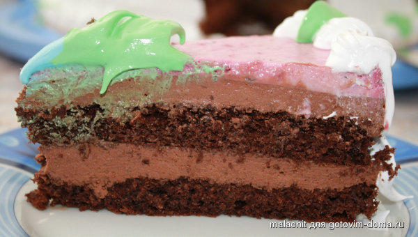 razrez shokoladnogo torta so smorodinovym kremom.jpg