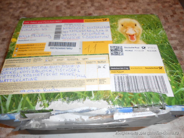 DSCN8403.JPG