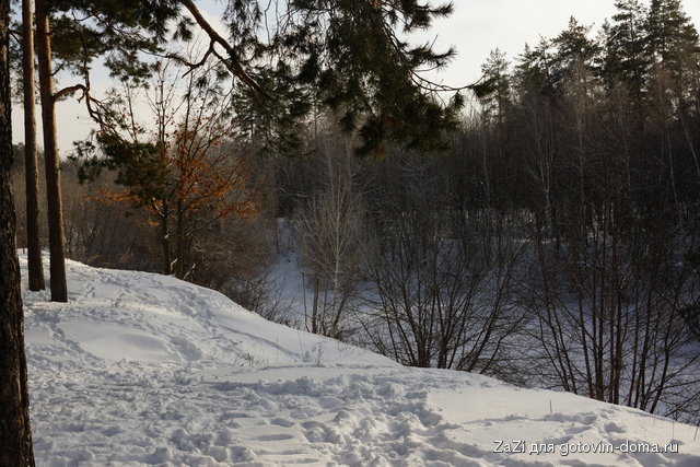 DSC05303_resize.JPG
