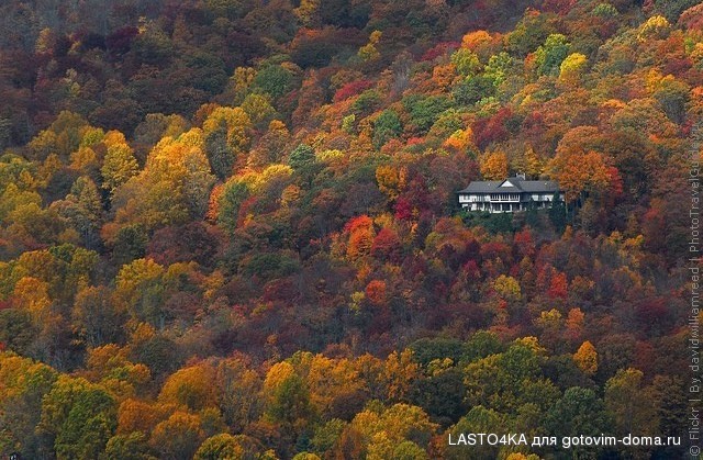blue-ridge-parkway-19.jpg