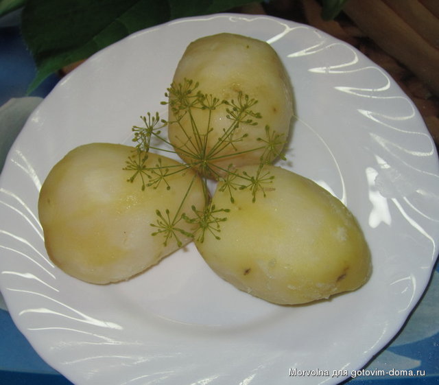 кар.jpg