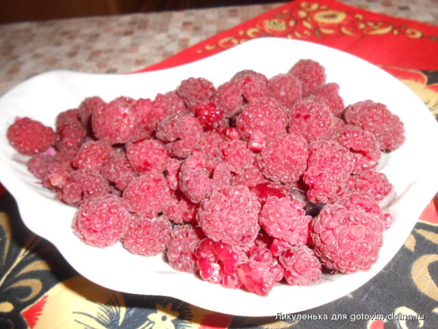 DSCN6479.JPG