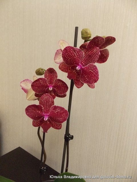 DSCN9815.jpg