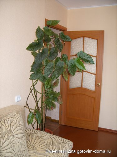 SS850581.JPG