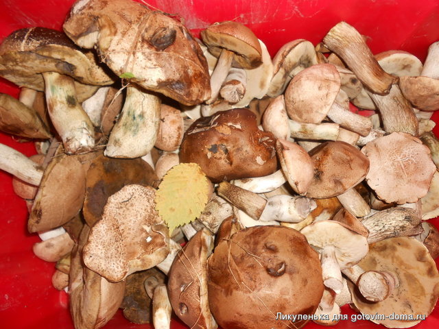 DSCN2162.jpg