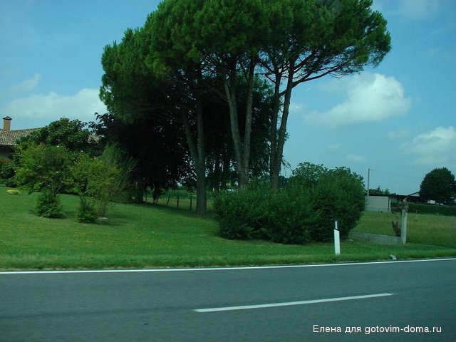 DSC00517.JPG