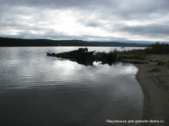 IMG_4554.jpg