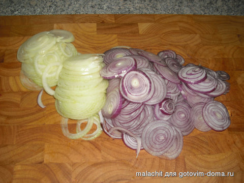 luk narezannyj kolechkami.jpg