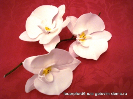 rezepte 161.jpg